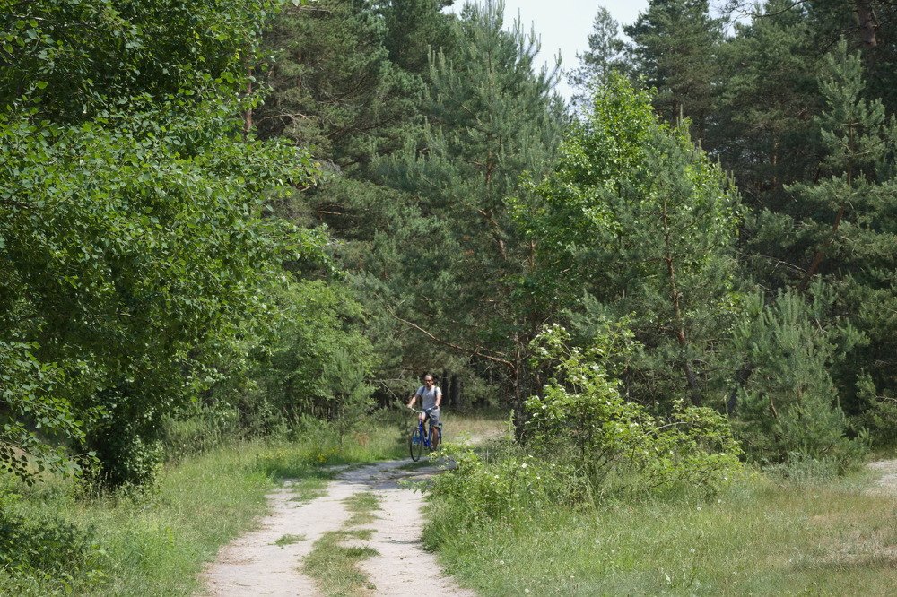 Photograph by Башлаев Константин