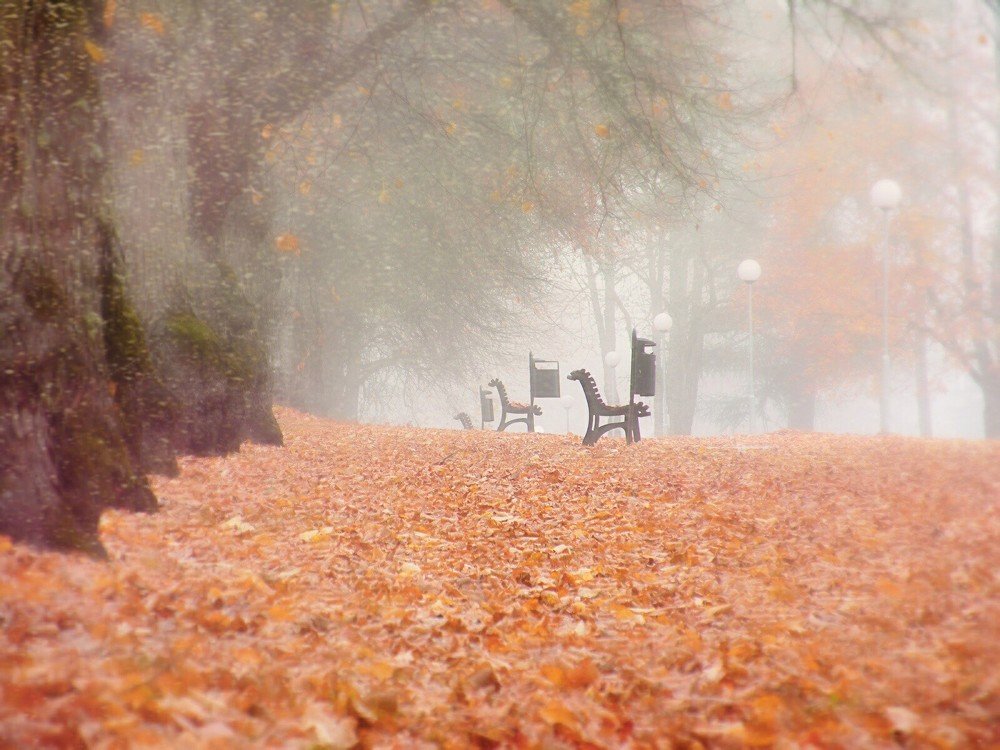 Photograph by Aleksandr Barsukov