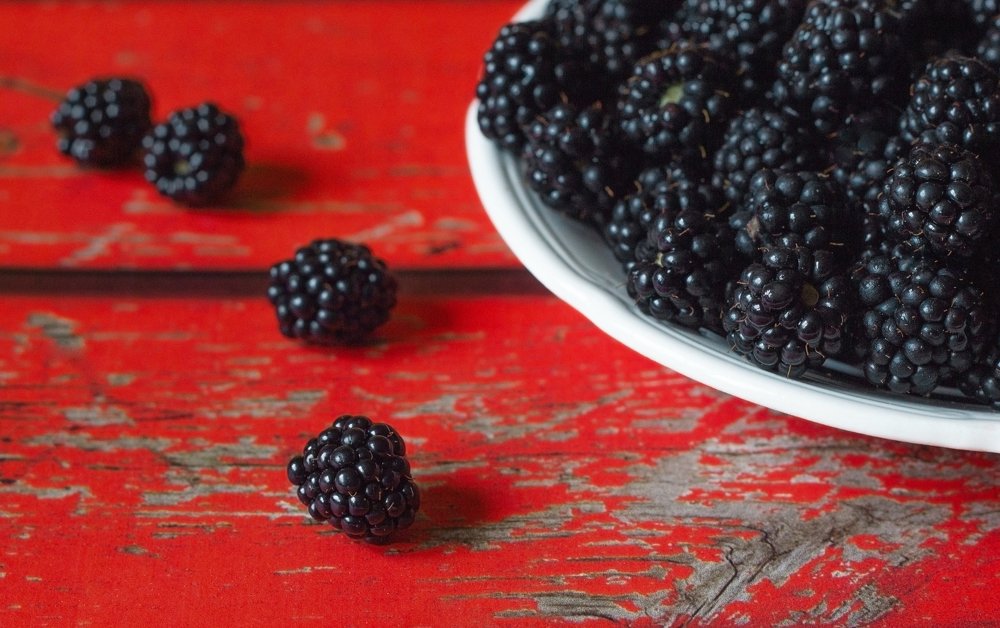 Photograph by Петрова Екатерина