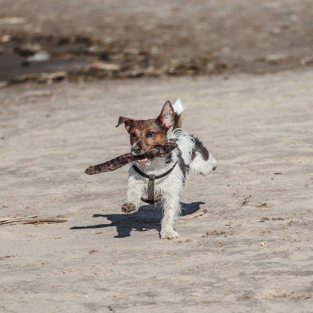 Photograph by Артём Пряхин