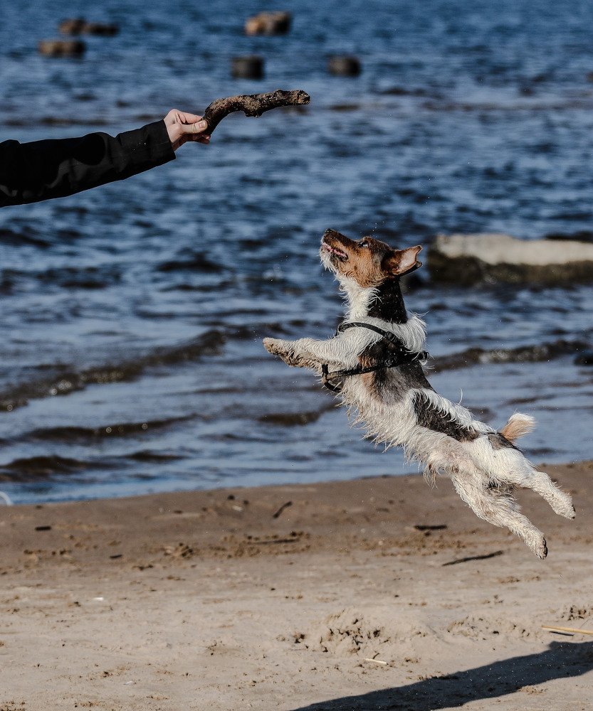 Photograph by Артём Пряхин