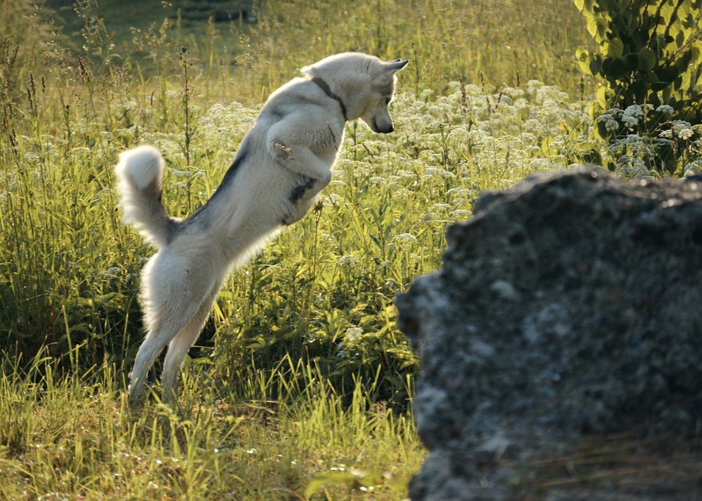 Photograph by Ирина Кленкова