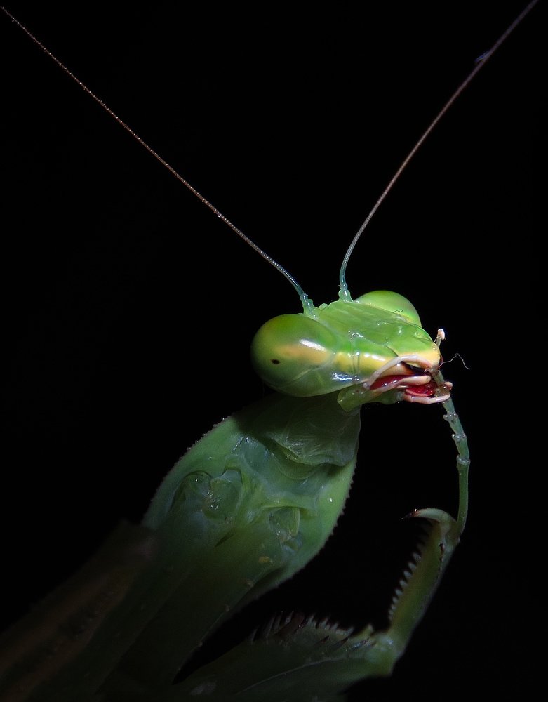 Photograph by Amin Ghaffarian