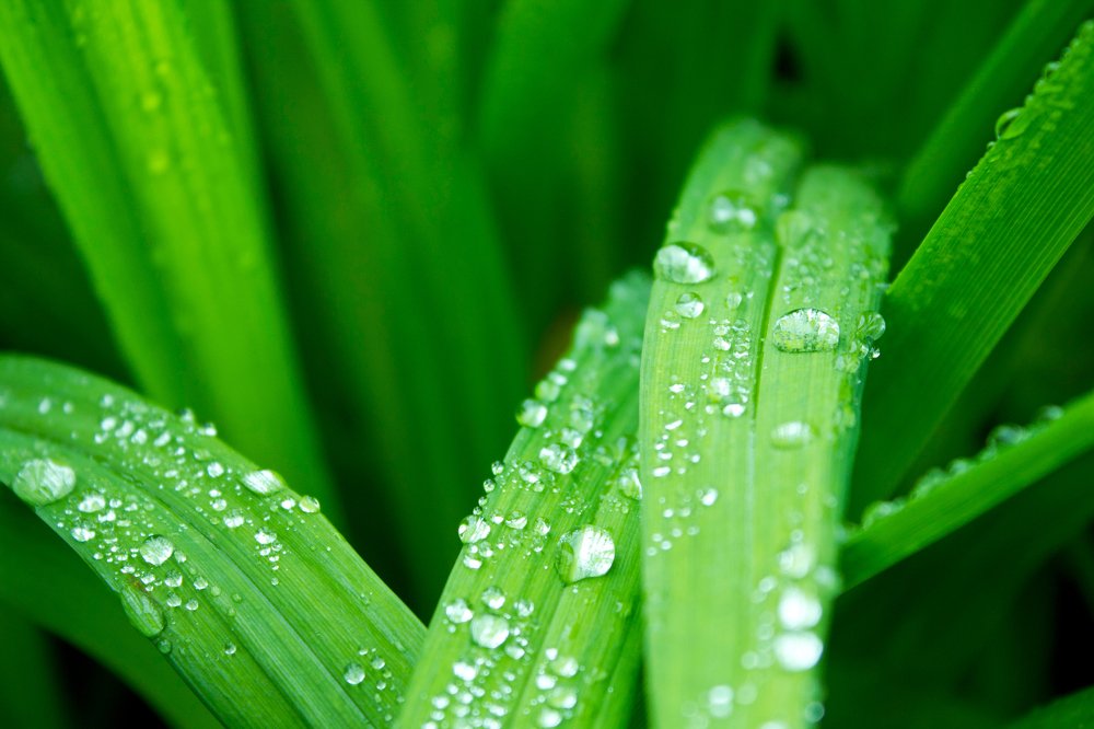 Photograph by Петрова Екатерина