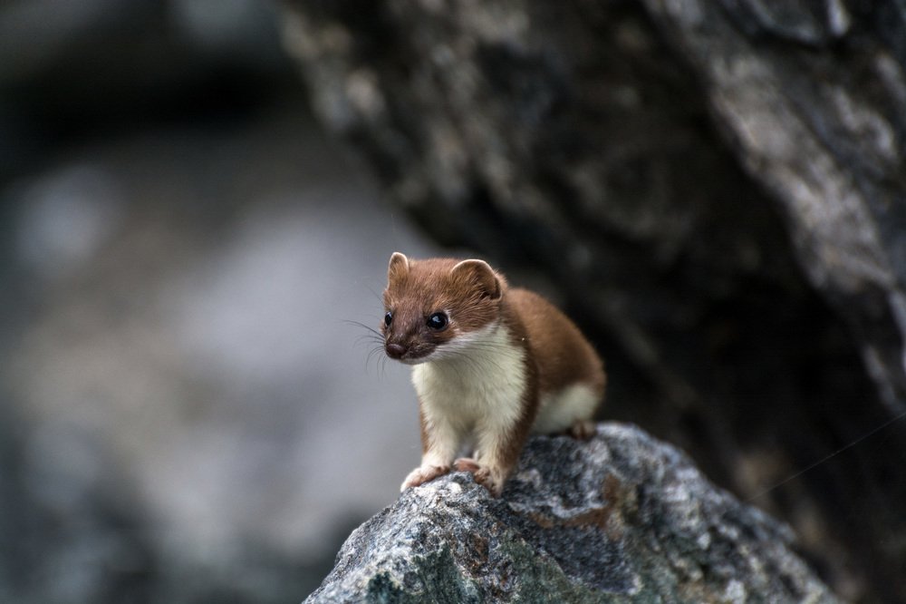 Photograph by Евгений Антонов