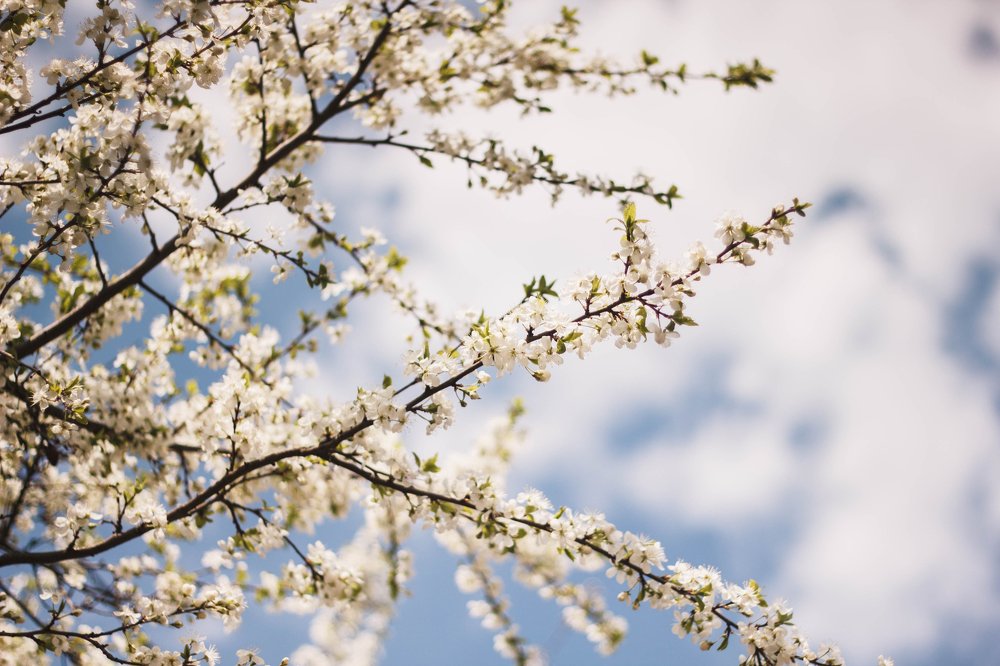 Photograph by Петрова Екатерина