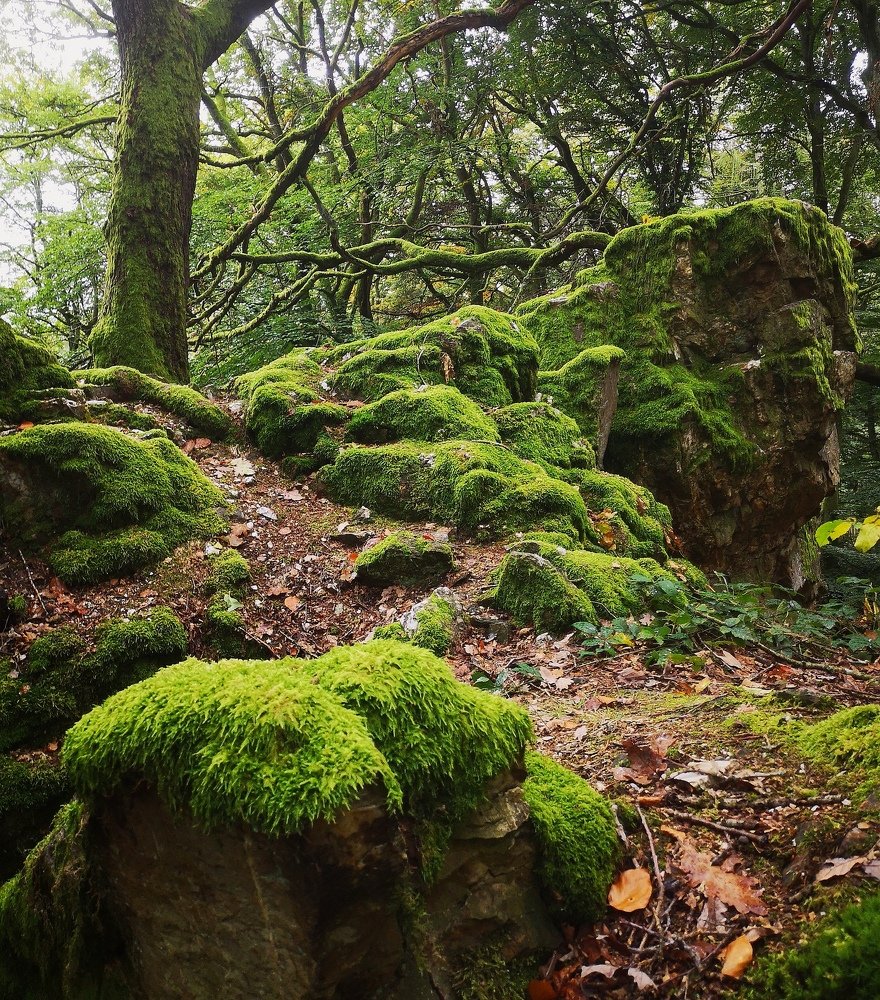 Photograph by Dmitry Shvarev