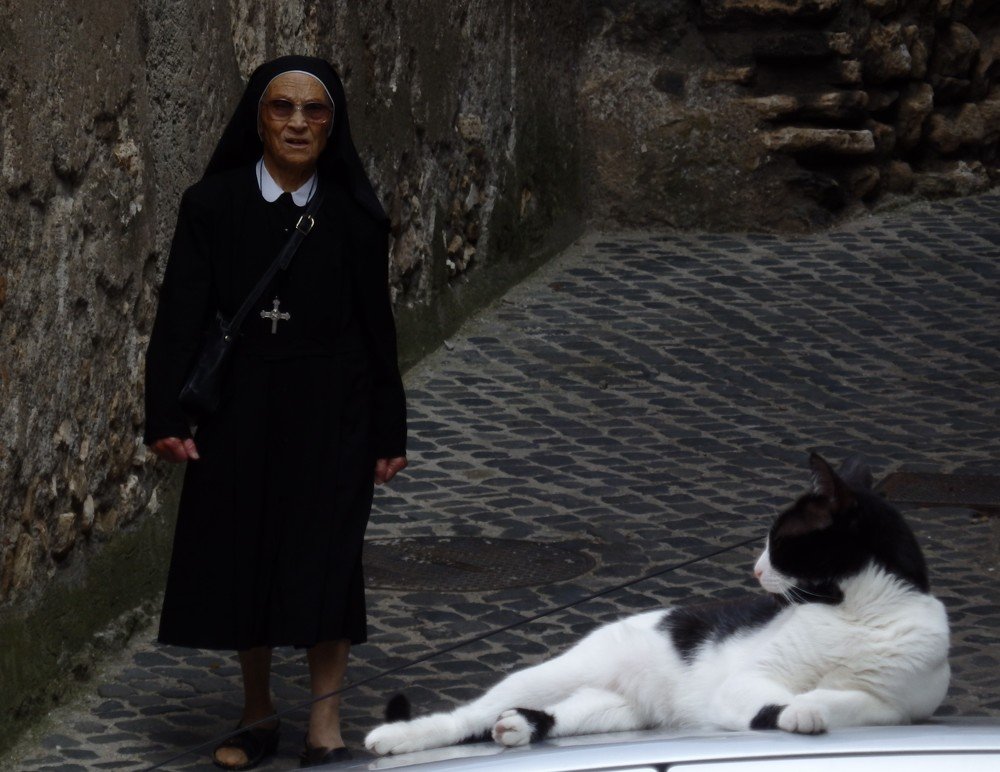 Фотография автора Tiia Vissak