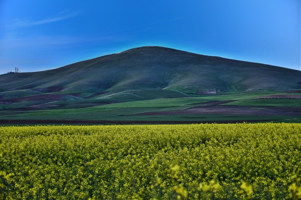 Photograph by Moslem Azimi