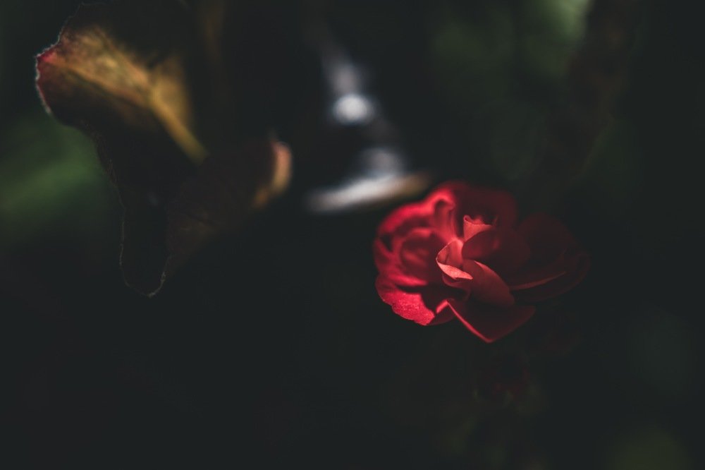 Photograph by Миленькая Наталья