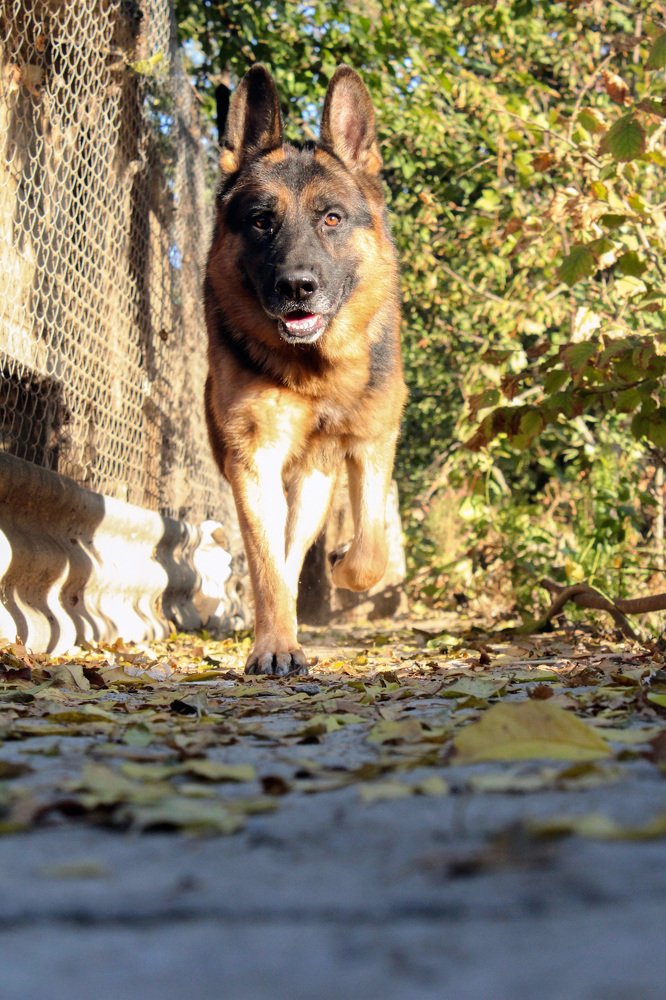 Photograph by Дарья Околова