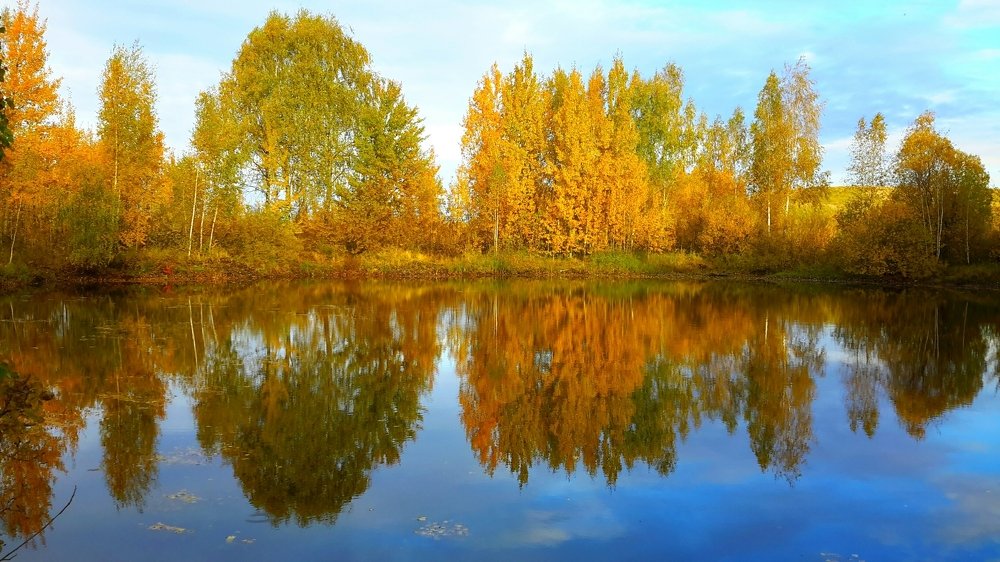 Photograph by Борис Каширин