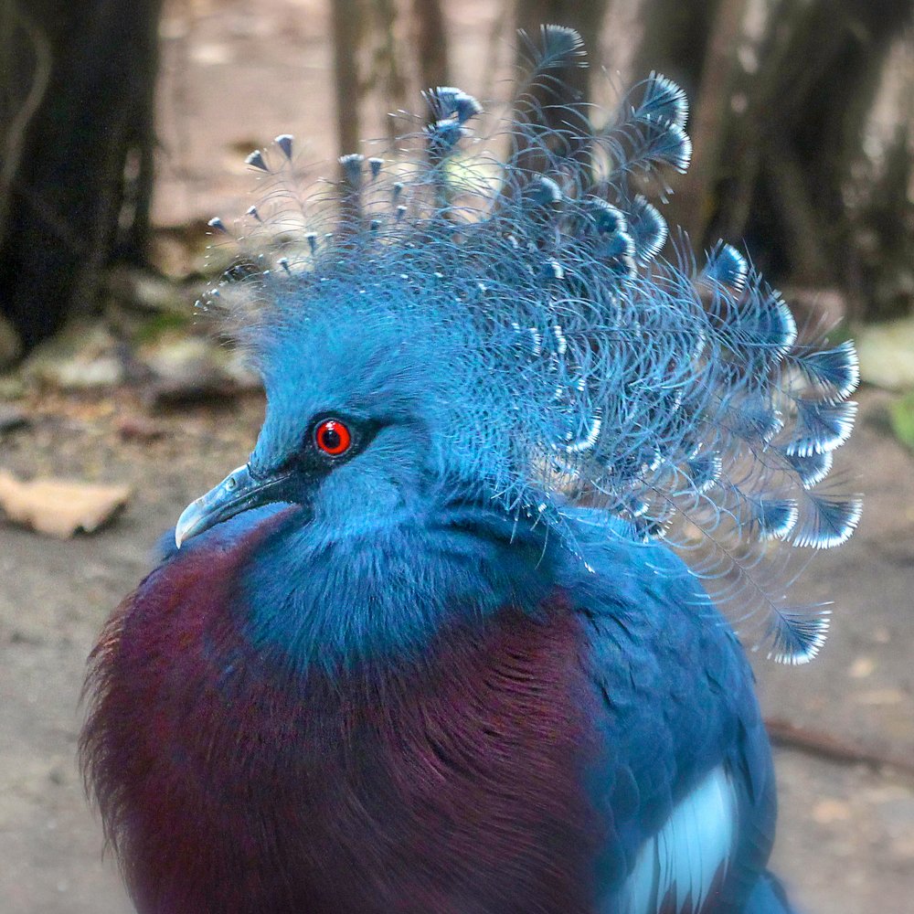 Photograph by Алёна Дьяченко