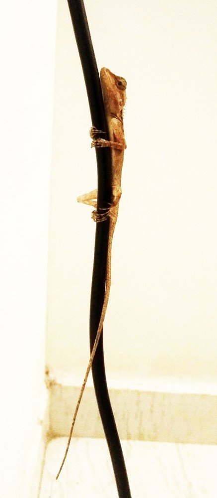 Photograph by Rita Noro