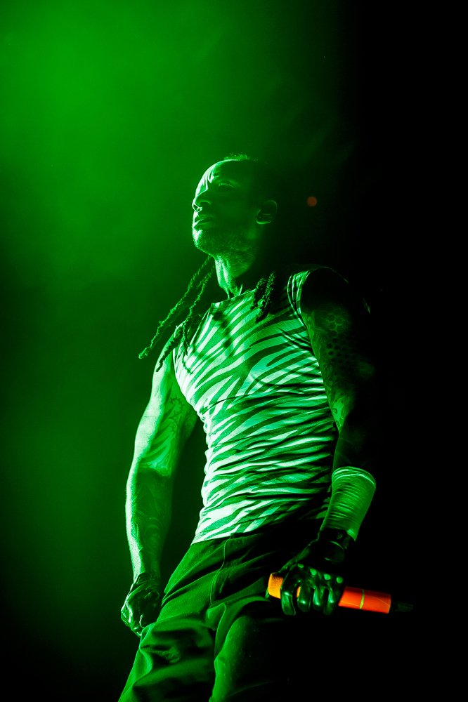 Фотография автора Nikolay DUGINOFF