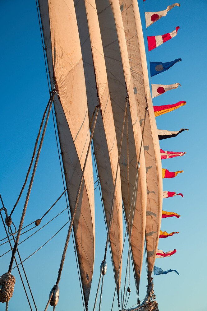 Фотография автора Александр Медведев