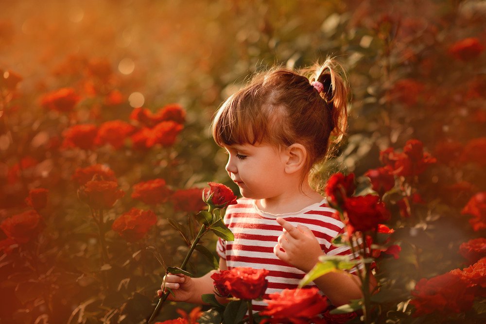 Photograph by Наталья Кошевая