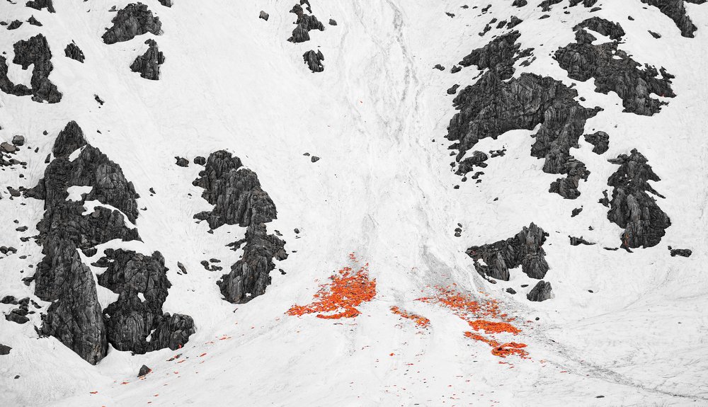 Photograph by Adl Abdolahi