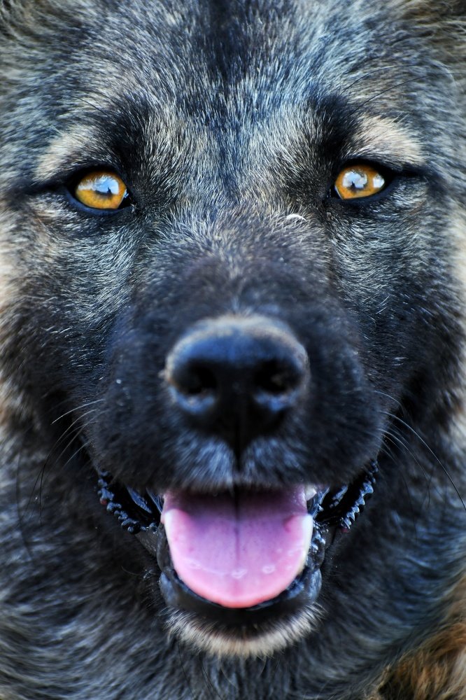 Photograph by Adl Abdolahi