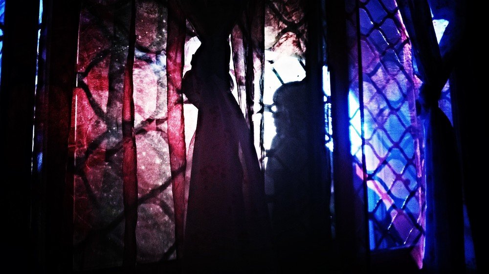 Photo #3681002