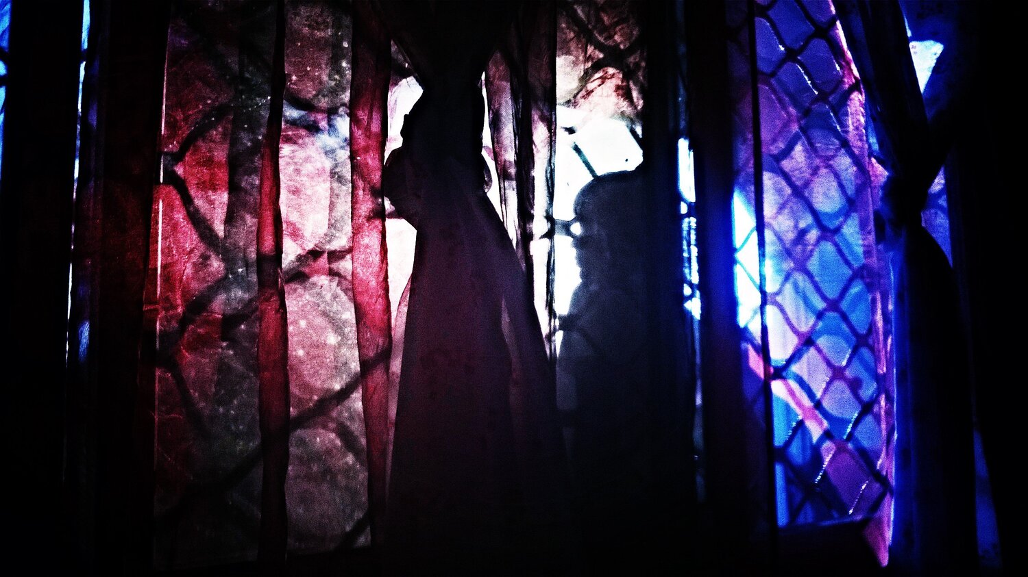 Photo #3681002