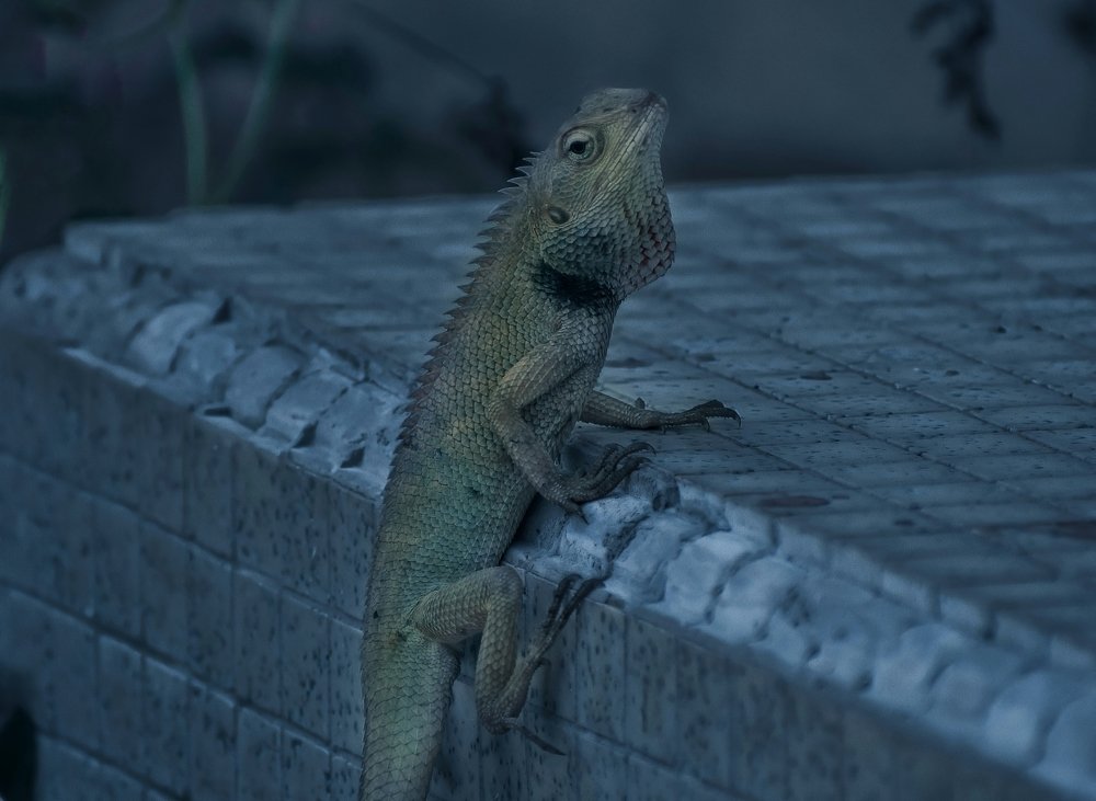 Photograph by Nicholas Ng