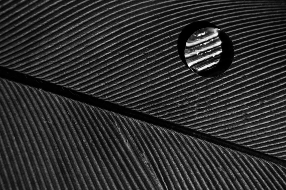 Photograph by Laura García