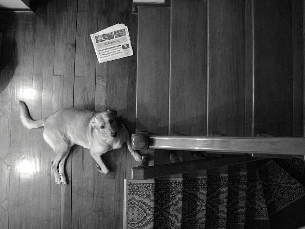 Photograph by Katiuska Curay