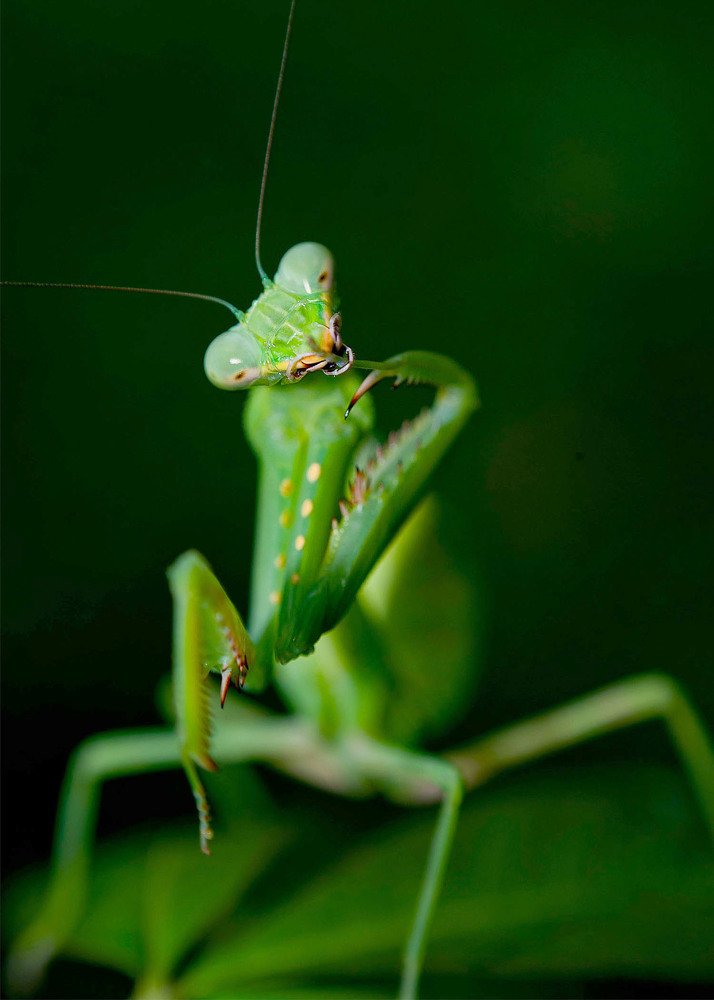 Photograph by Norman Celis