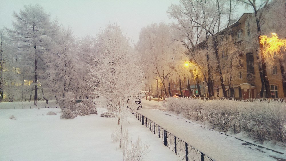 Тишина и красота морозного утра в Сибири