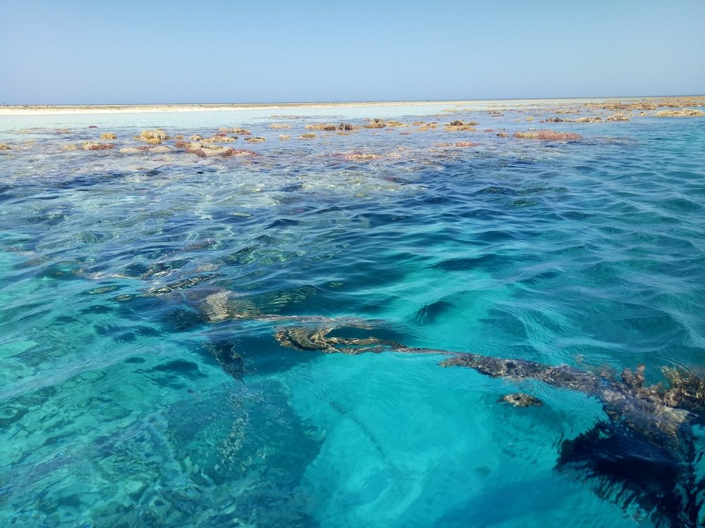 Photograph by Alaa Ezz El-Arab