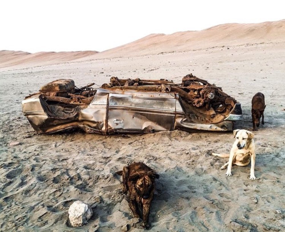 Photograph by Rodrigo Quiroga-Gazzolo