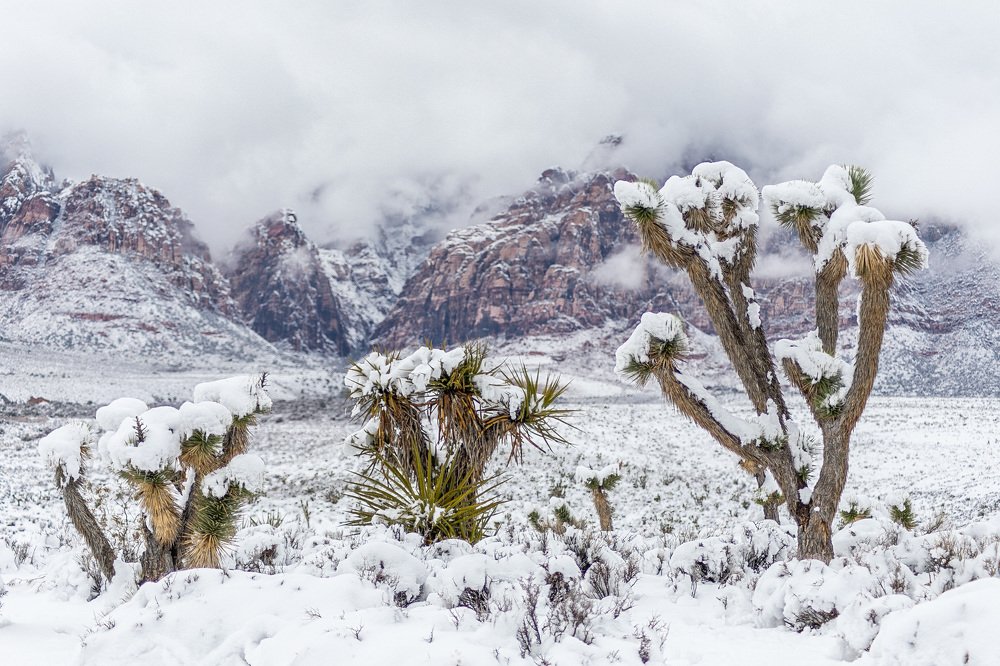 Photograph by Daria Osipova