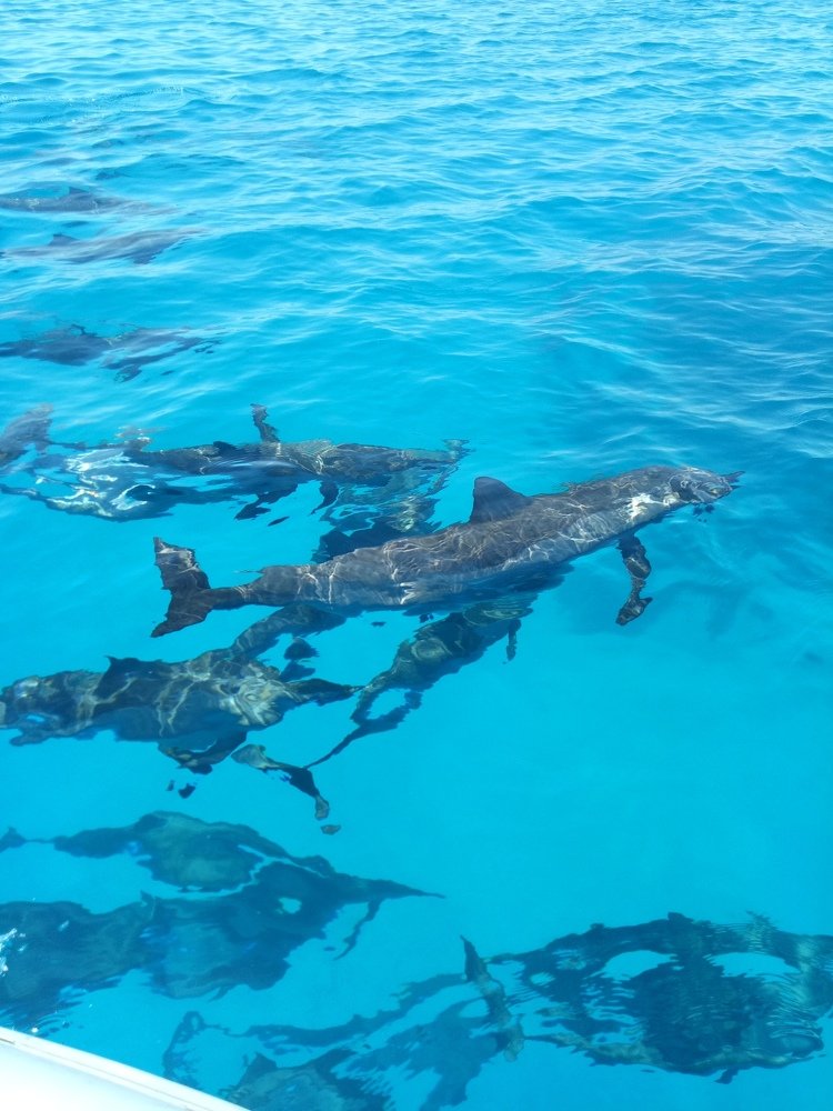 Photograph by Alaa Ezz El-Arab