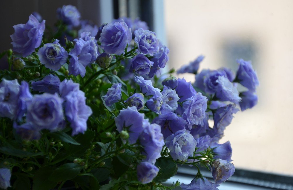 Photograph by Хлебова Елена