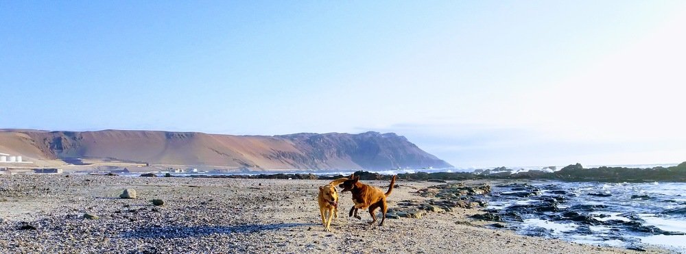 Photograph by Rodrigo Quiroga-Gazzolo