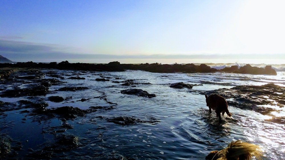 Photograph by Rodrigo Quiroga-Gazzolo