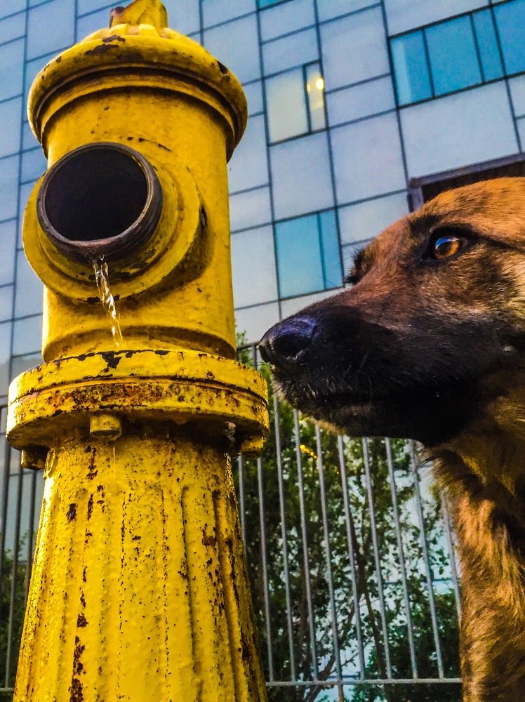 Simply Dulce Perri With The Faucet On Her Side