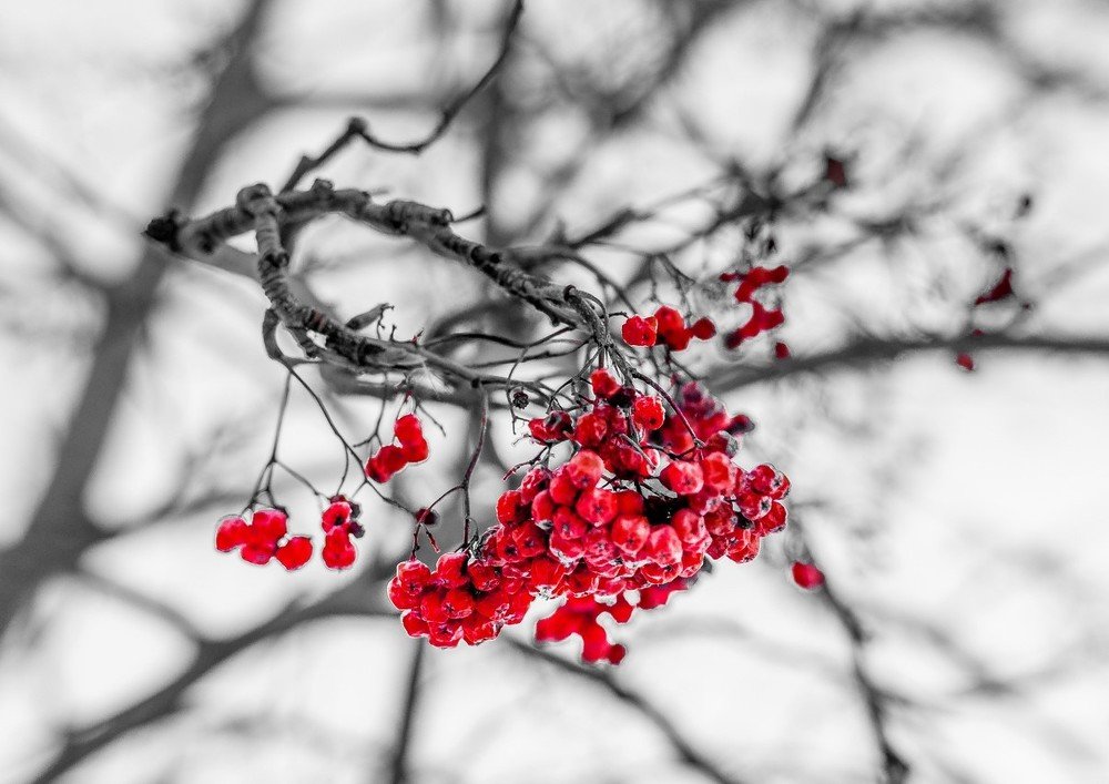 Photograph by Ухарцев Ухарцев