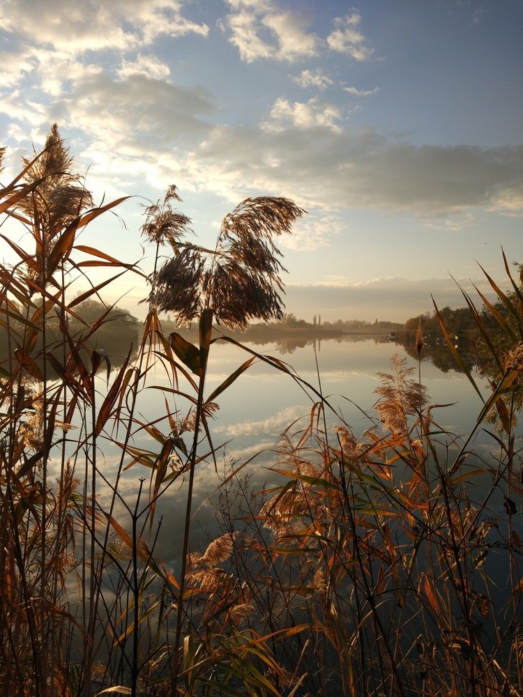 Станица Динская, река Кочеты