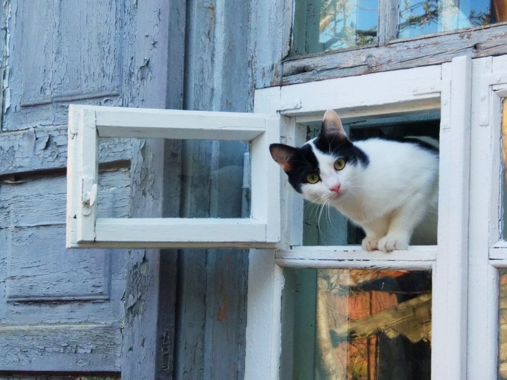 Photograph by Татьяна Телешенко