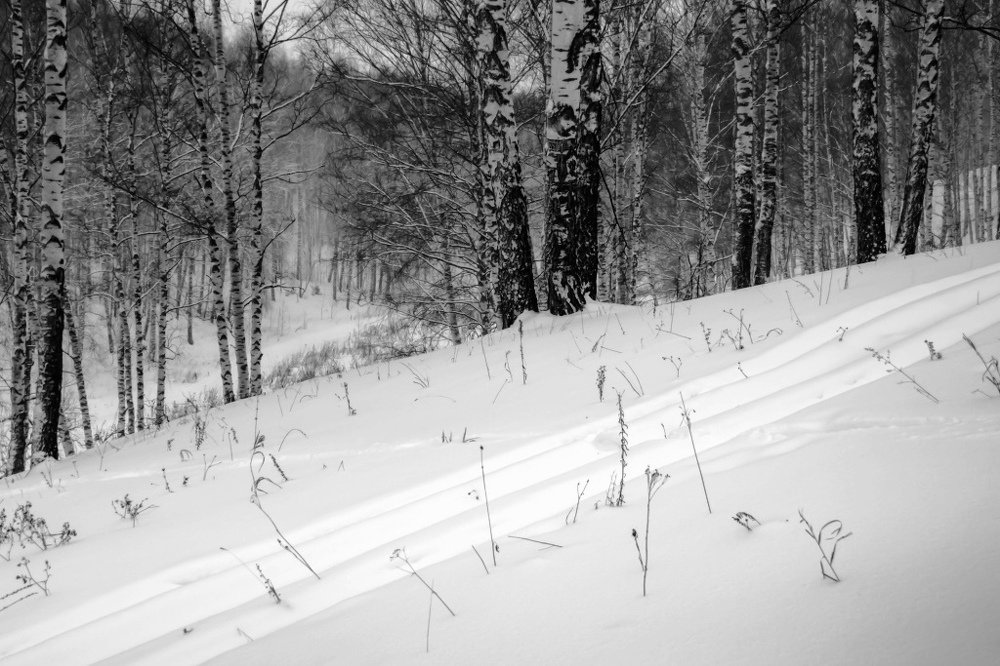 Photograph by Kirill Koshed