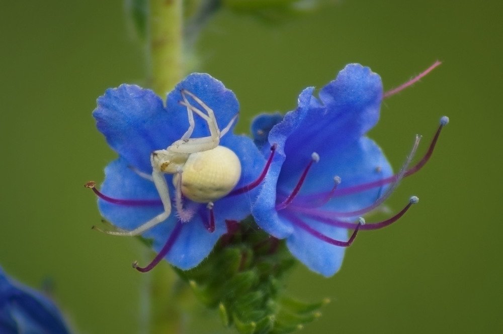 Photograph by Slesareva Nina