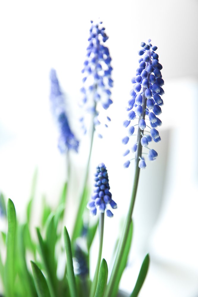 Photograph by Evgeniya Biriukova