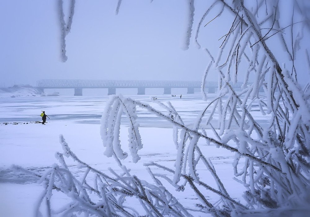 Photograph by Татьяна Сальникова