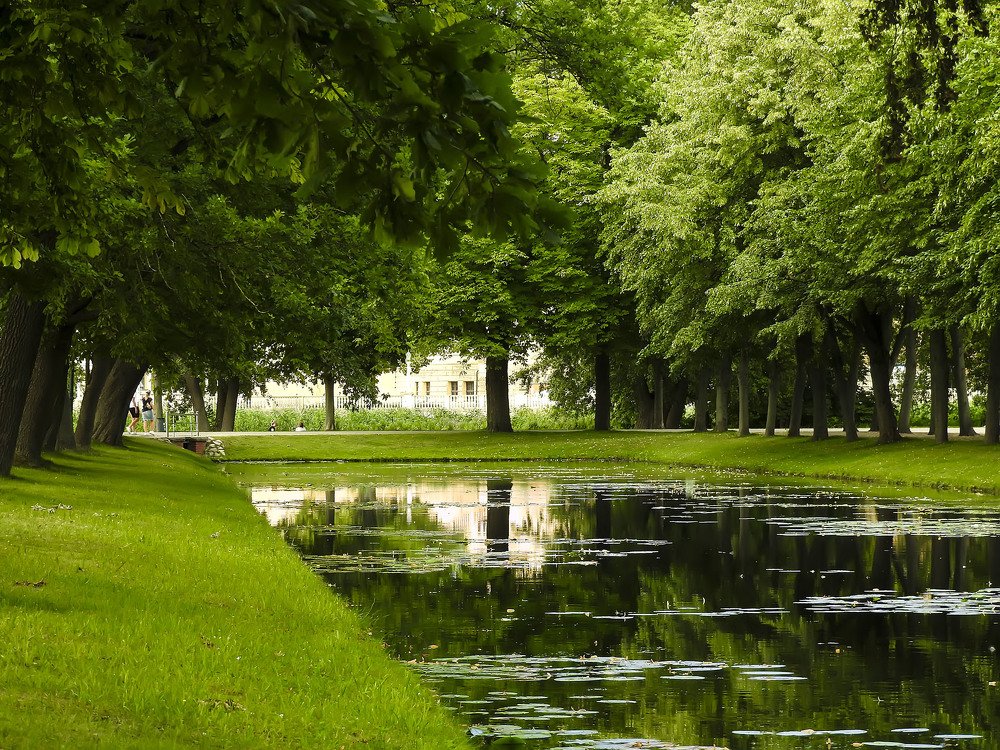 Photograph by Татьяна Сальникова