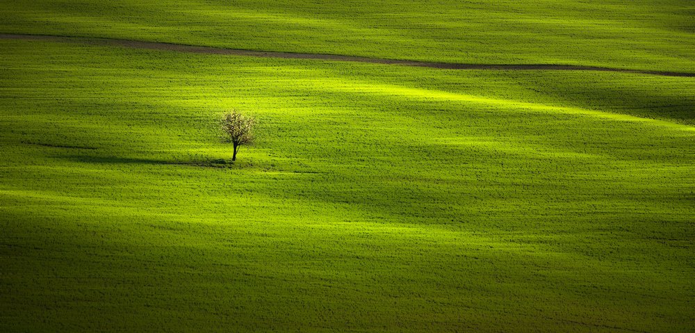 Photograph by Alaa Seif Eddine