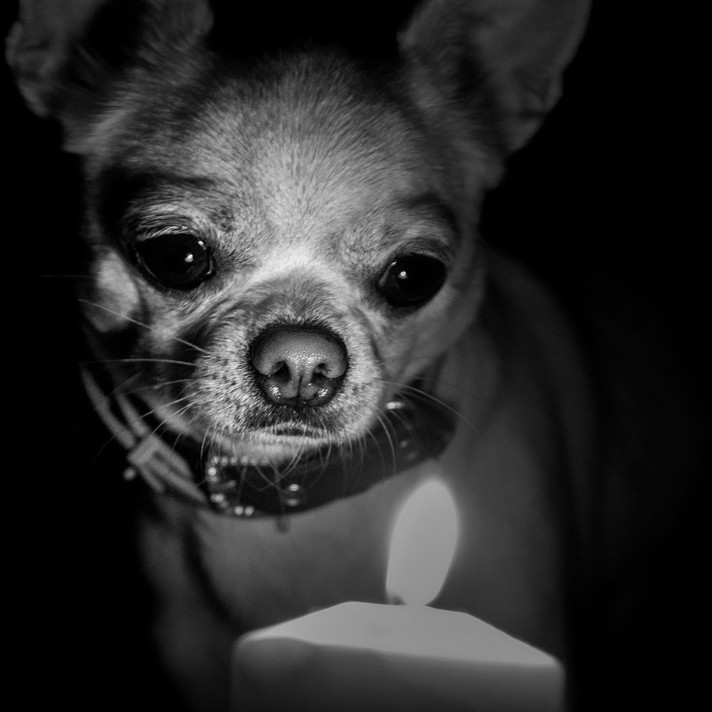 Photograph by Юрий Глушков