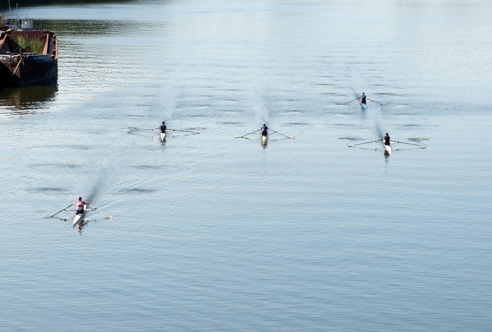 Photograph by Tóth András