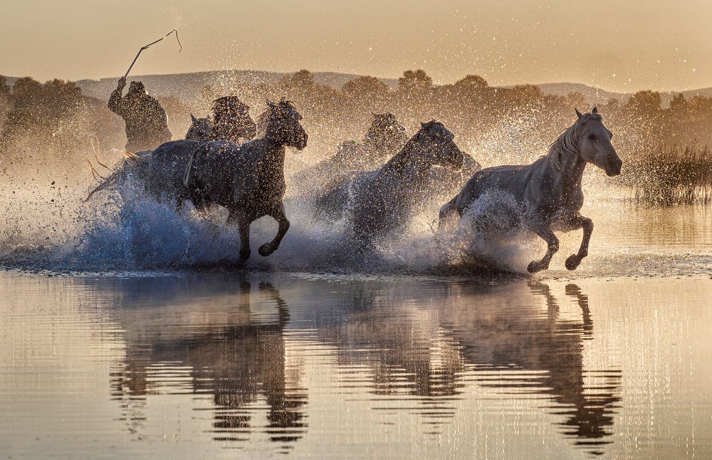 Photograph by Kok Tien Sang